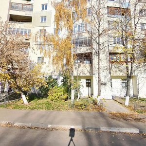 Vitebskaya Street, 46, Nizhny Novgorod: photo