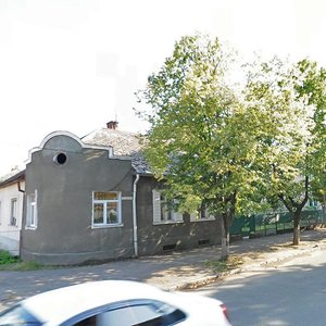 Vulytsia Druhetiv, 106, Uzhhorod: photo