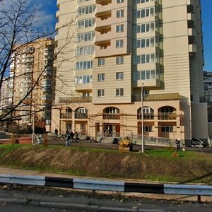 Heroiv Stalinhrada Avenue, 55, Kyiv: photo