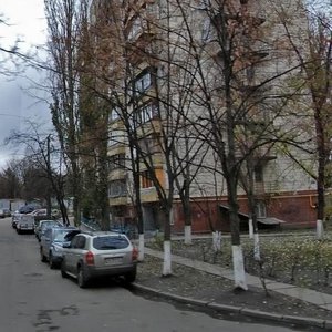 Kopernyka Street, 10, Kyiv: photo