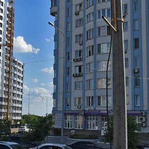 Dniprovska Embankment, 26, Kyiv: photo