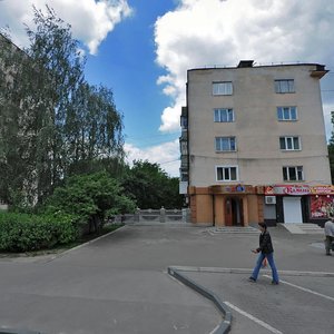 Vidinska vulytsia, 40, : foto