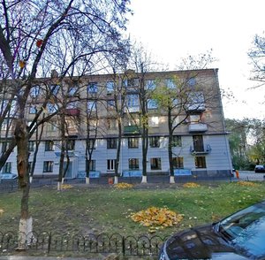 Pylypa Orlyka Street, 24/1, Kyiv: photo