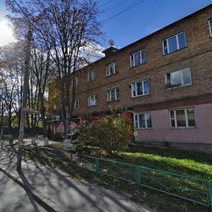 Zelena vulytsia, 3, Vyshneve: photo