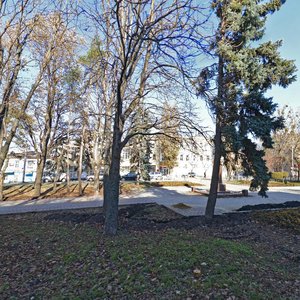 Karla Marxa Avenue, 15, Stavropol: photo