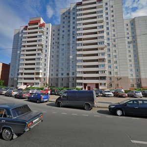 Kollontay Street, 29к1, Saint Petersburg: photo