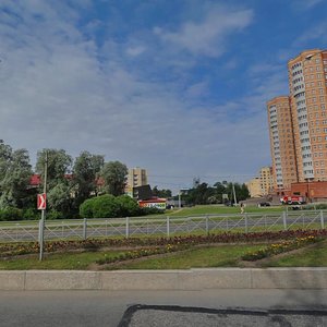 Сестрорецк, Приморское шоссе, 268А: фото
