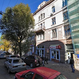 Vulytsia Sichovykh Striltsiv, 15 ، : صورة