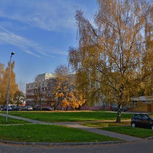 Liejtenanta Kizhavatava Street, 60Д, Minsk: photo