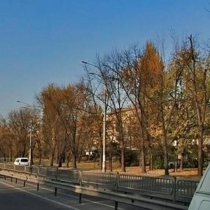 Perova Boulevard, 4, Kyiv: photo