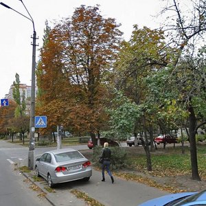 Aviakonstruktora Antonova Street, 39, Kyiv: photo