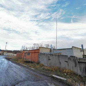 Lesok Station, 25, Ryazan Oblast: photo