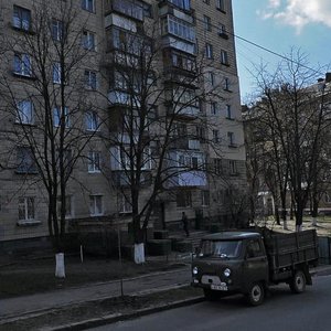 John McCain Street, 20А, Kyiv: photo