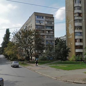 Volho-Donskyi Lane, 2, Kyiv: photo