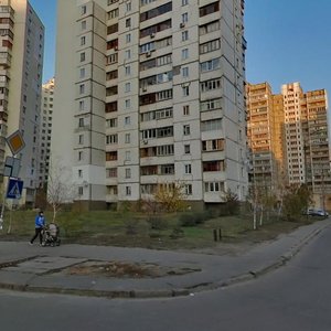 Larysy Rudenko Street, 3А, Kyiv: photo