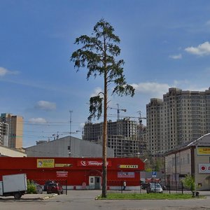 Levashova Street, 25А, : foto