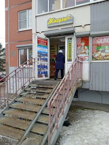 Ulitsa Izhorskogo Batalyona, 8, Kolpino: photo