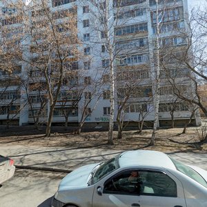 Michurina Street, 217, Yekaterinburg: photo