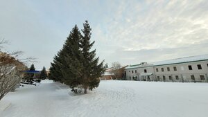 Taube Street, 15, Omsk: photo