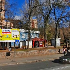 Hlybochytska Street, 17А, Kyiv: photo