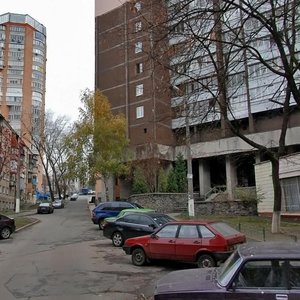 Viacheslava Chornovola Street, 8, Kyiv: photo