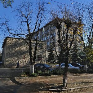 Vulytsia Vasyliianok, 50, Ivano‑Frankivsk: photo