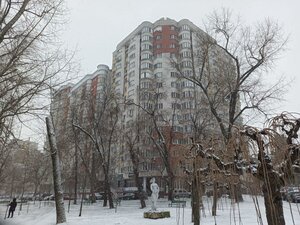 Кишинев, Улица Николай Зелинский, 15/5: фото