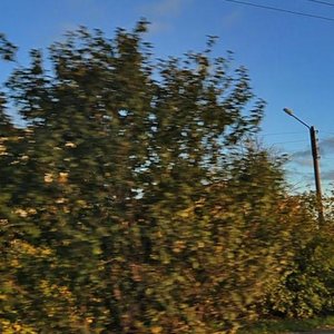 Mashinostroiteley Drive, 1Л, : foto