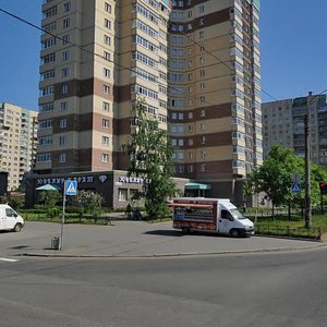Nastavnikov Avenue, 43к1 ، سان بطرسبرغ: صورة
