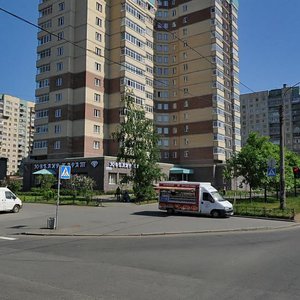 Nastavnikov Avenue, 43к1, Saint Petersburg: photo