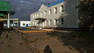 Исилькуль, Деповская улица, 24: фото