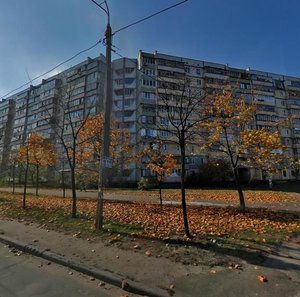 Mykoly Zakrevskoho Street, 85, : foto