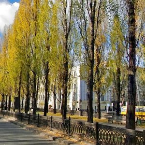 Pyrohova Street, 9 ، كييف: صورة