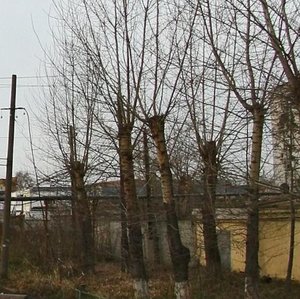 Нижний Новгород, Базовый проезд, 3к2: фото