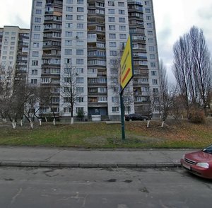 Stadionna Street, 14, Kyiv: photo