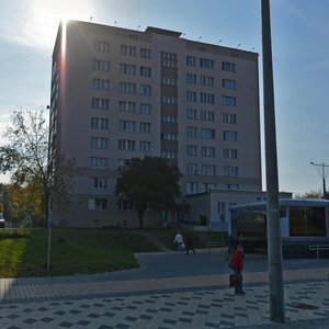 Минск, Ташкентская улица, 28к1: фото