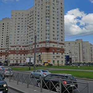 Gakkelevskaya Street, 33к1, Saint Petersburg: photo