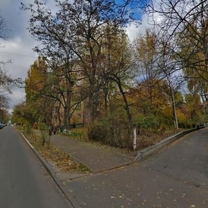 Kolomyiskyi Lane, 10, Kyiv: photo