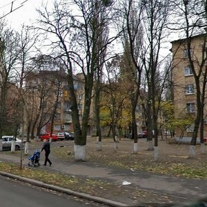 Donetska Street, 3, Kyiv: photo