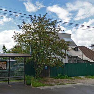 Sharapovo Village, 26, : foto