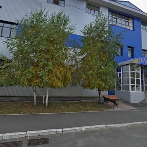 Chornomorska Street, 1, Kyiv: photo