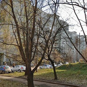 Frunze Street, 8, Tula: photo