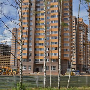 Moskovskaya Street, 58к1, Dolgoprudniy: photo