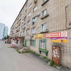 Novozhilova Street, 35, Vladivostok: photo