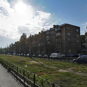 Sviatoslava Khorobroho Street, 8, Kyiv: photo