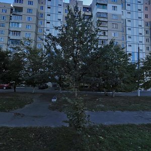 Киев, Тираспольская улица, 43: фото