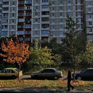 Volodymyra Maiakovskoho Avenue, 52, Kyiv: photo