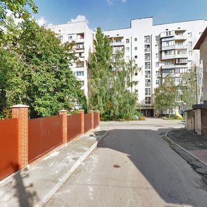 Malokytaivska Street, 7, Kyiv: photo