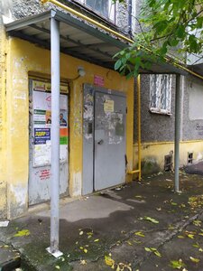 Ilyicha Street, 59 ، يكاترينبورغ: صورة