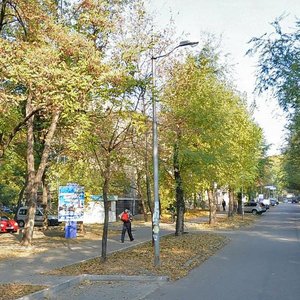 Vulytsia Myru, 10, Zaporizhia: photo